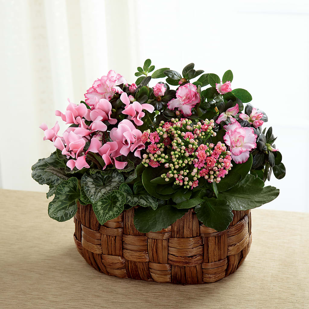 Pink Assortment – Distinctive Designs Floral Llc, Vilonia AR