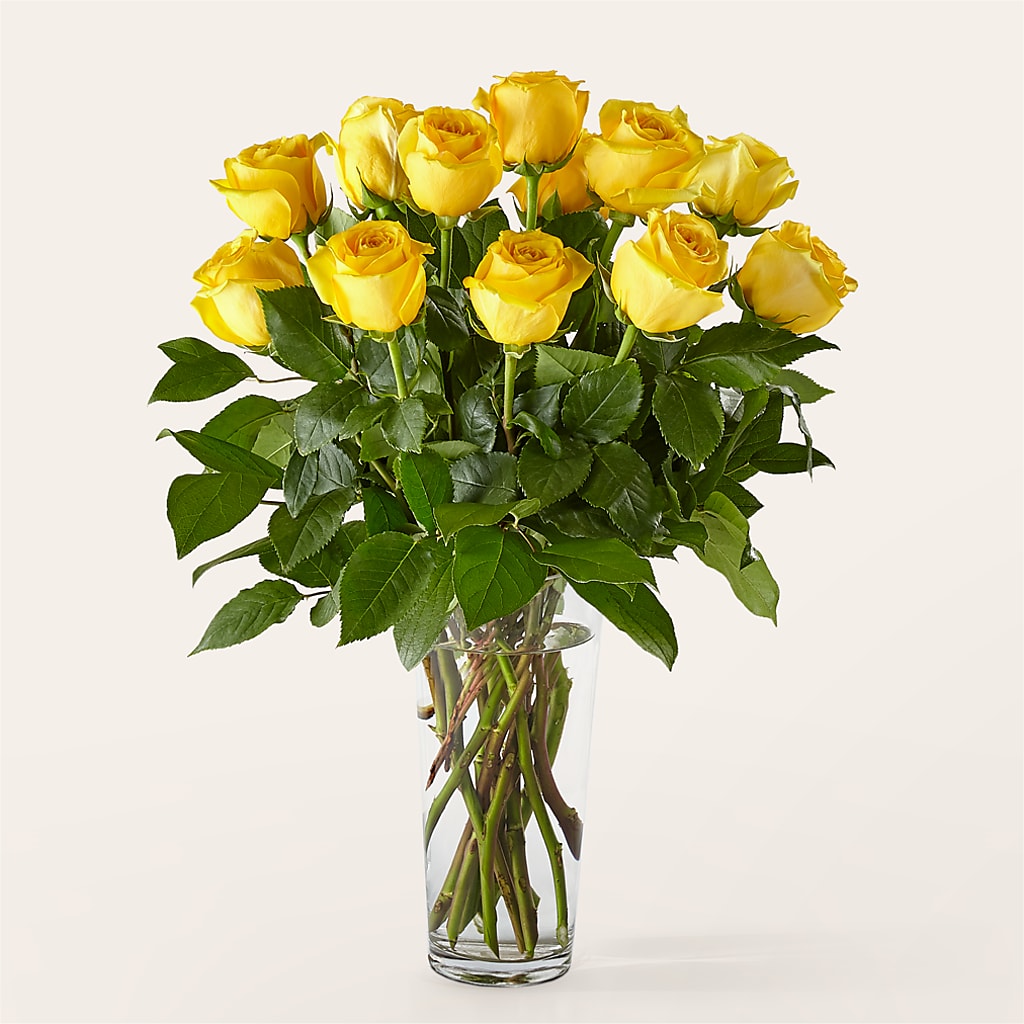 Long Stem Yellow Rose Bouquet – Distinctive Designs Floral Llc, Vilonia AR