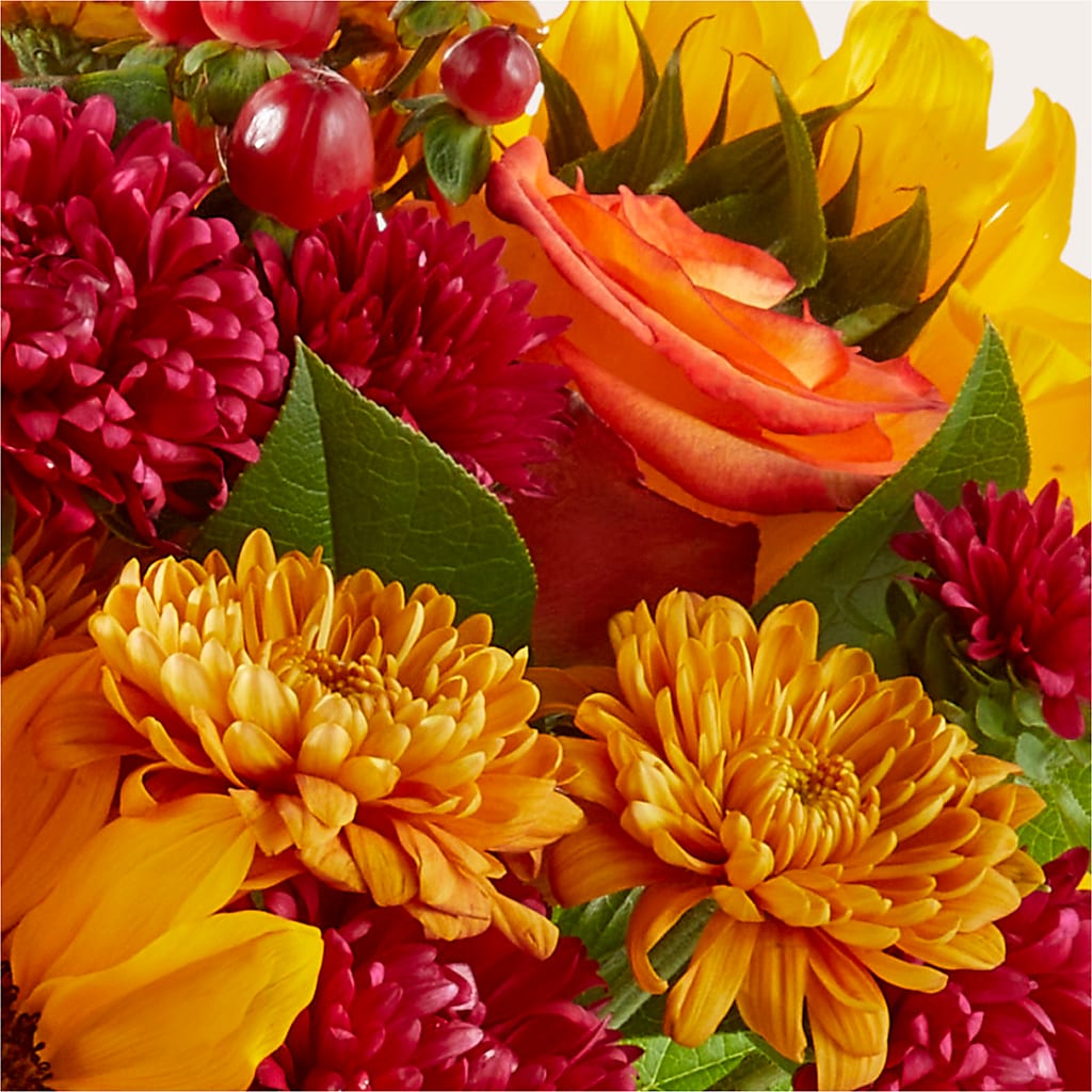 Sweater Season - A Florist Original – Distinctive Designs Floral Llc, Vilonia AR