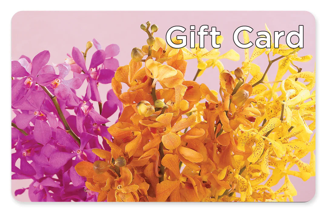 Gift Card – Distinctive Designs Floral Llc, Vilonia AR
