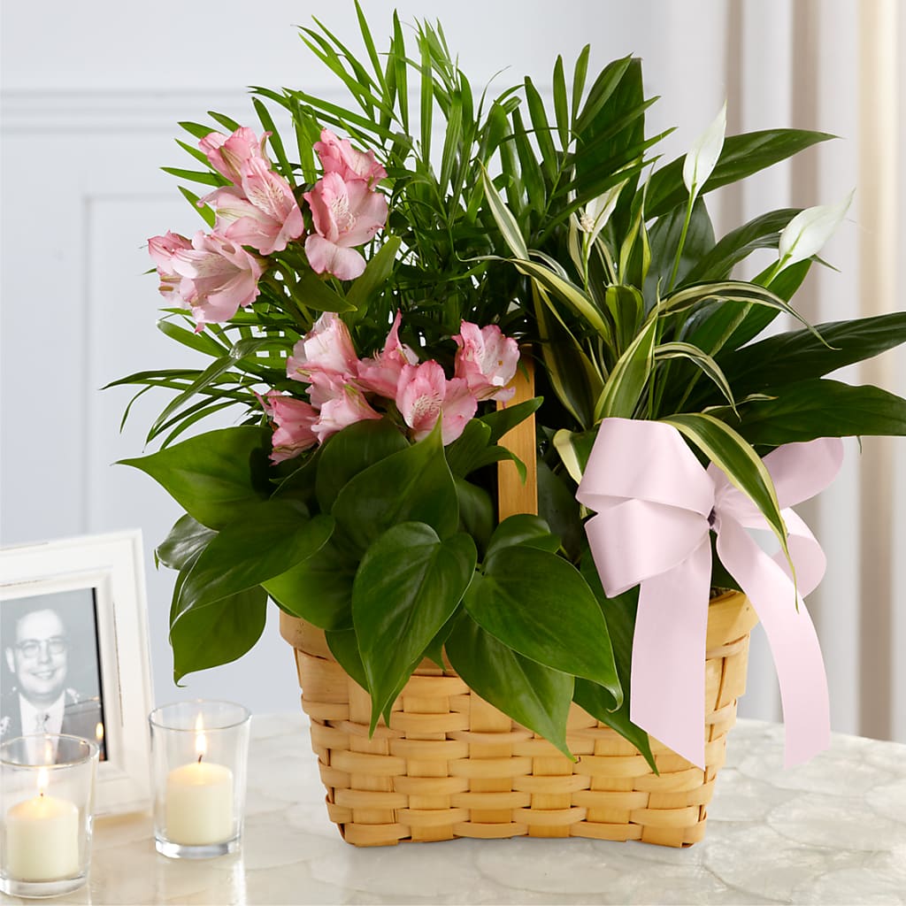 Living Spirit Dishgarden – Distinctive Designs Floral Llc, Vilonia AR