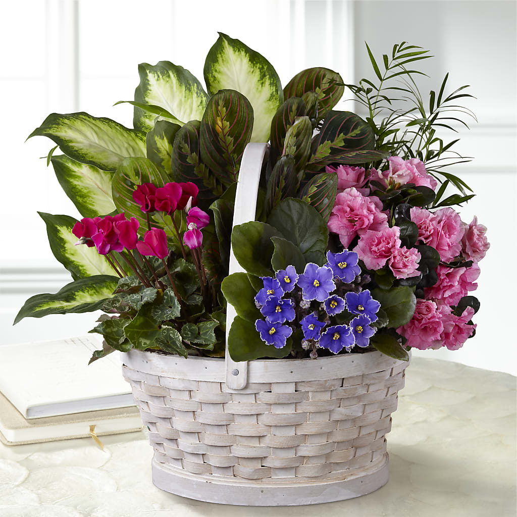 Peaceful Garden Planter – Distinctive Designs Floral Llc, Vilonia AR