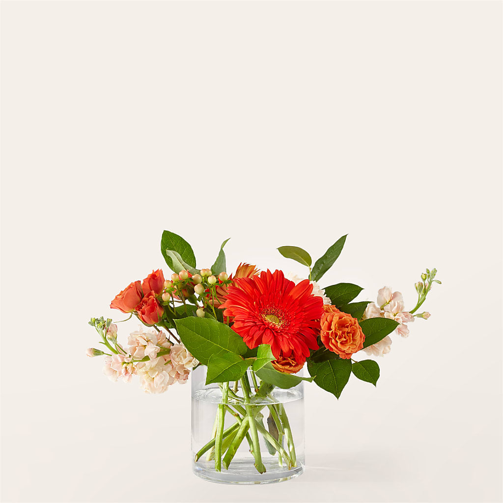 Paloma Please Bouquet – Distinctive Designs Floral Llc, Vilonia AR