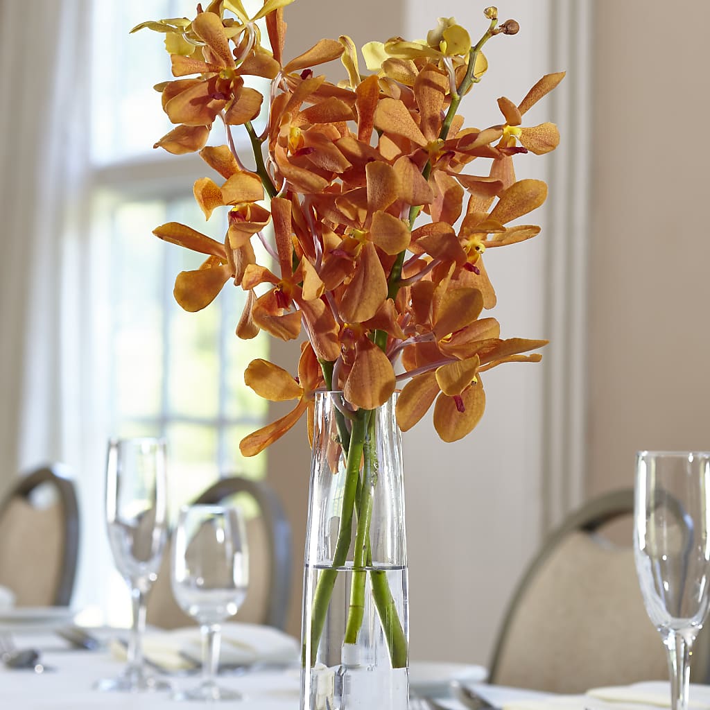 Orange Mokara Bud Vase – Distinctive Designs Floral Llc, Vilonia AR