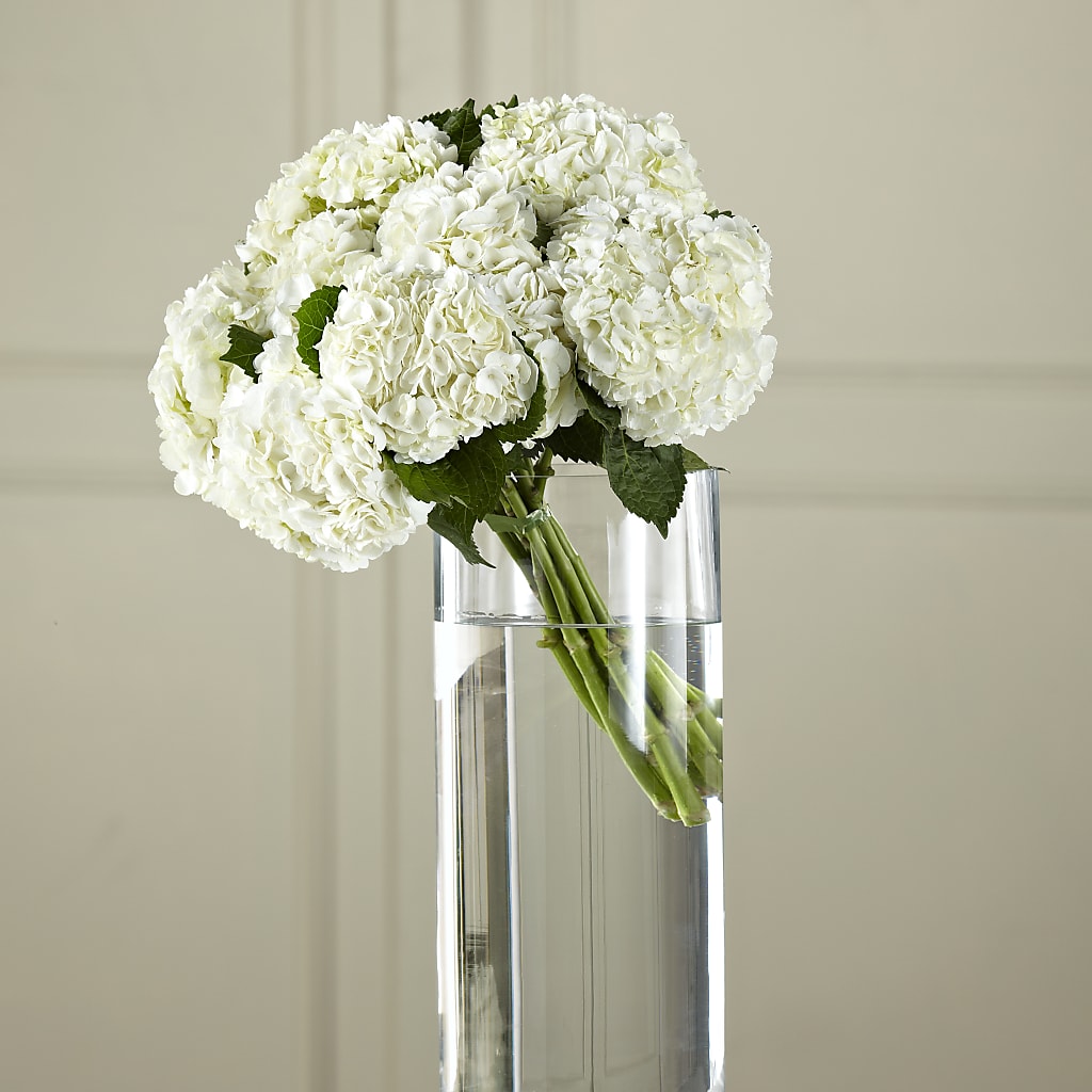White Hydrangea Hand-Tied Bouquet – Distinctive Designs Floral Llc, Vilonia AR