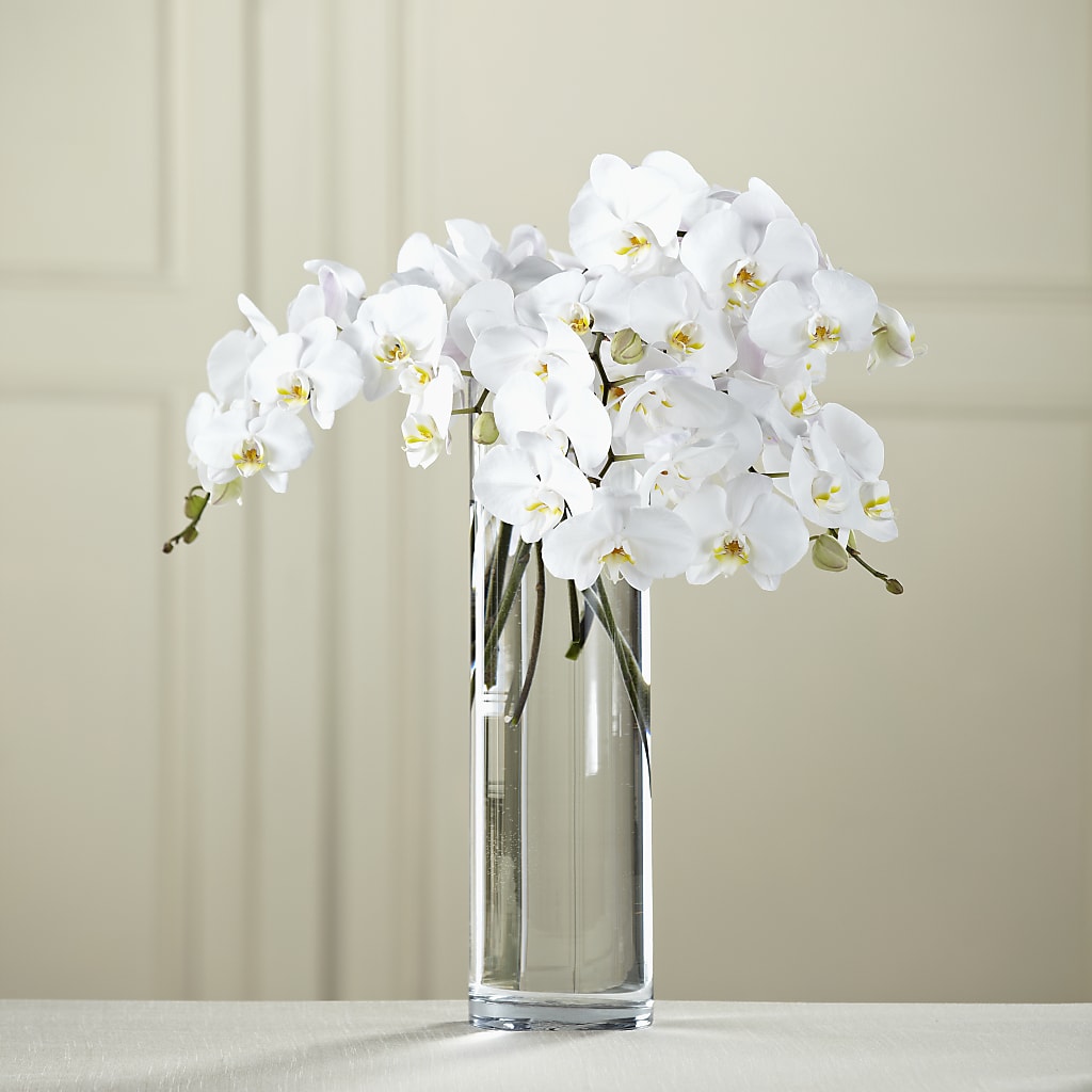 White Phalaenopsis Bouquet – Distinctive Designs Floral Llc, Vilonia AR