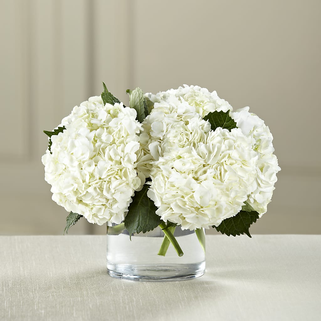 White Hydrangea Bouquet – Distinctive Designs Floral Llc, Vilonia AR