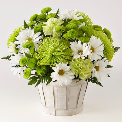 Lucky Charm Basket (Standard) –  Distinctive Designs Floral Llc, Vilonia AR