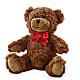 Adorable Plush Bear –  Distinctive Designs Floral Llc, Vilonia AR