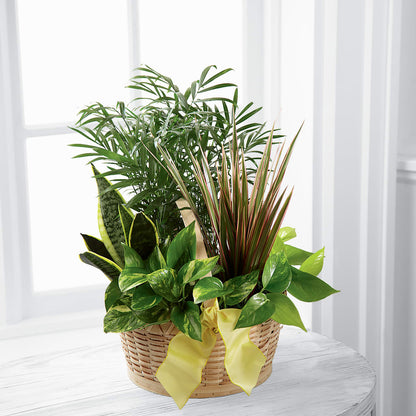 French Garden –  Distinctive Designs Floral Llc, Vilonia AR