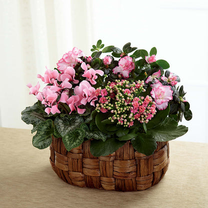 Pink Assortment –  Distinctive Designs Floral Llc, Vilonia AR