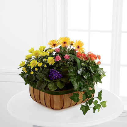 Gentle Blossoms Basket –  Distinctive Designs Floral Llc, Vilonia AR