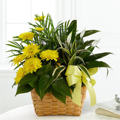 Loving Light Dishgarden –  Distinctive Designs Floral Llc, Vilonia AR