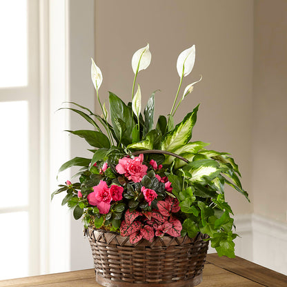 Dream in Pink Dishgarden –  Distinctive Designs Floral Llc, Vilonia AR