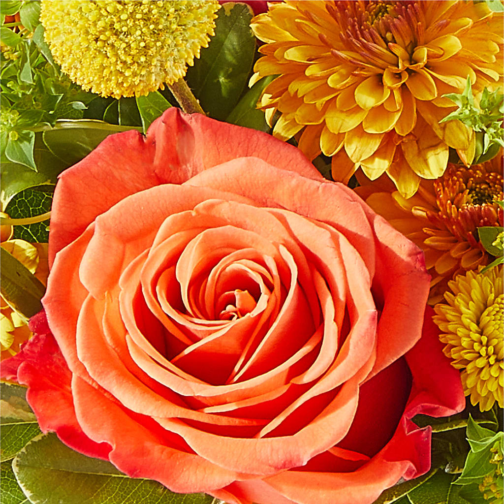 Gourdgeous Pumpkin –  Distinctive Designs Floral Llc, Vilonia AR