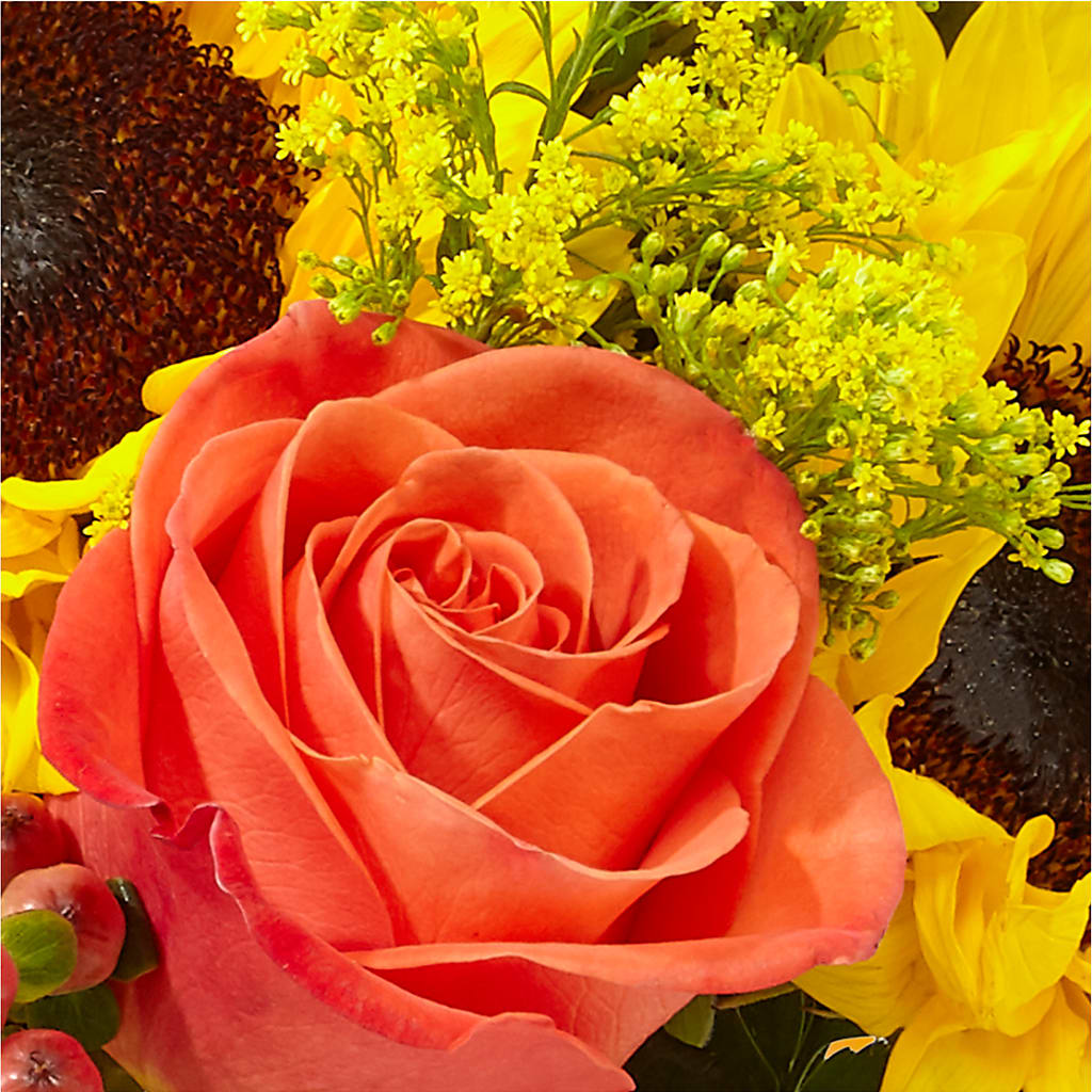 Pick of the Patch Pumpkin Bouquet –  Distinctive Designs Floral Llc, Vilonia AR