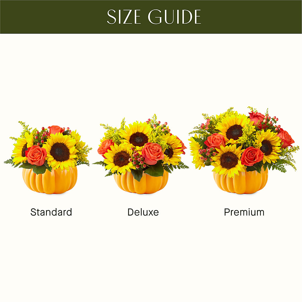 Pick of the Patch Pumpkin Bouquet –  Distinctive Designs Floral Llc, Vilonia AR