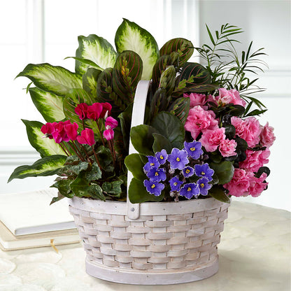Peaceful Garden Planter –  Distinctive Designs Floral Llc, Vilonia AR