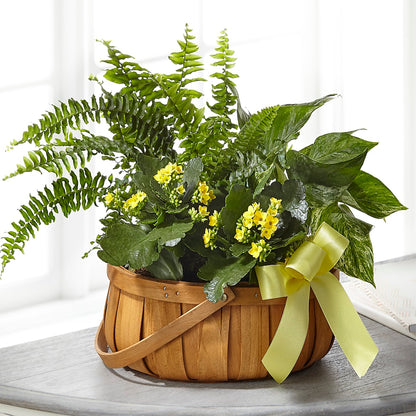 Always Dear Dishgarden –  Distinctive Designs Floral Llc, Vilonia AR