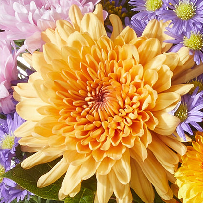 Countryside Bouquet –  Distinctive Designs Floral Llc, Vilonia AR