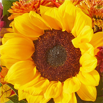 Sunny Side Bouquet –  Distinctive Designs Floral Llc, Vilonia AR