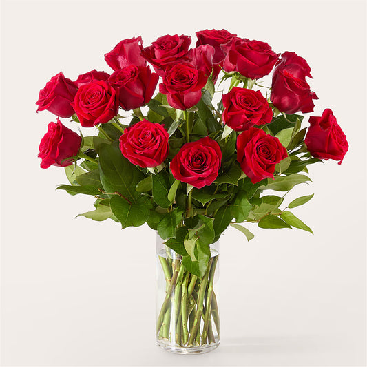 The One Red Rose Bouquet –  Distinctive Designs Floral Llc, Vilonia AR