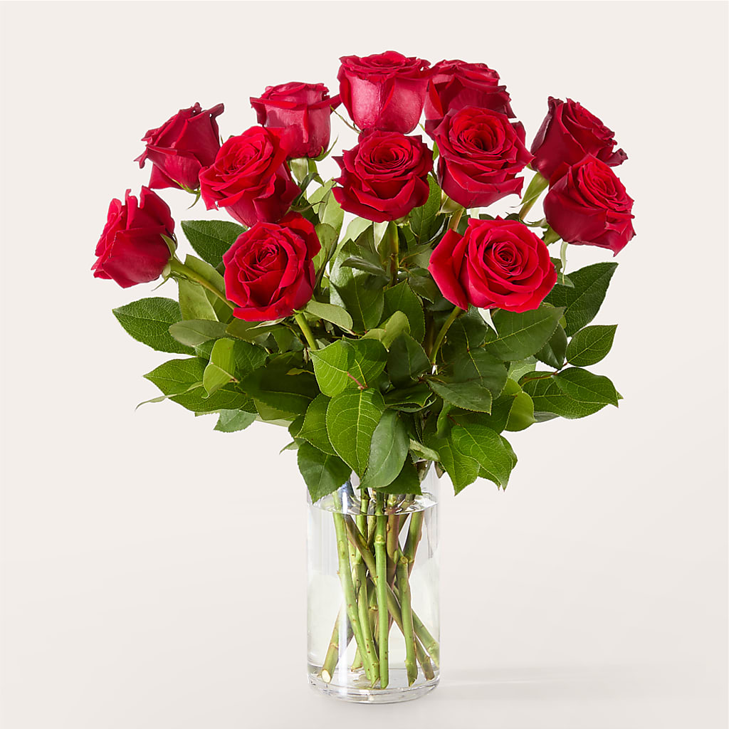 The One Red Rose Bouquet –  Distinctive Designs Floral Llc, Vilonia AR