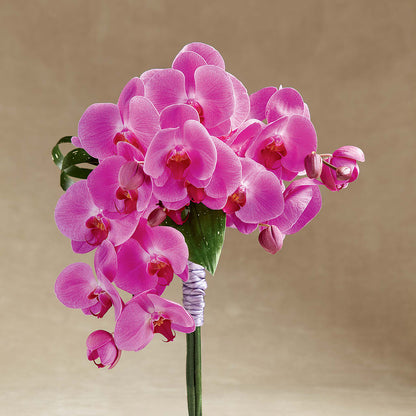 Glorious Bouquet –  Distinctive Designs Floral Llc, Vilonia AR