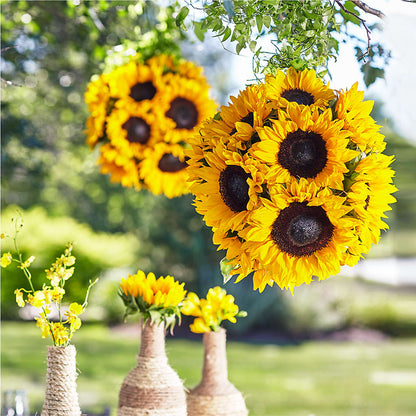Sublime Garden Hanging Arrangement –  Distinctive Designs Floral Llc, Vilonia AR