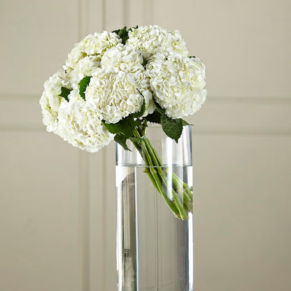 White Hydrangea Hand-Tied Bouquet –  Distinctive Designs Floral Llc, Vilonia AR