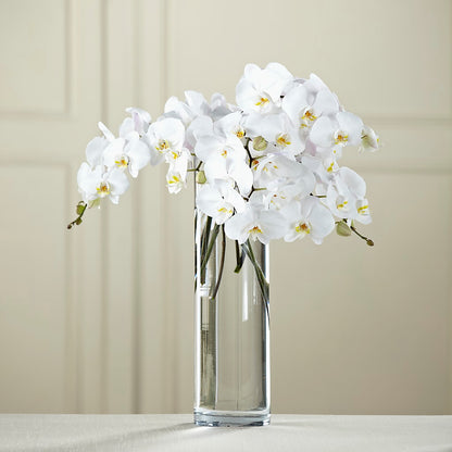 White Phalaenopsis Bouquet –  Distinctive Designs Floral Llc, Vilonia AR